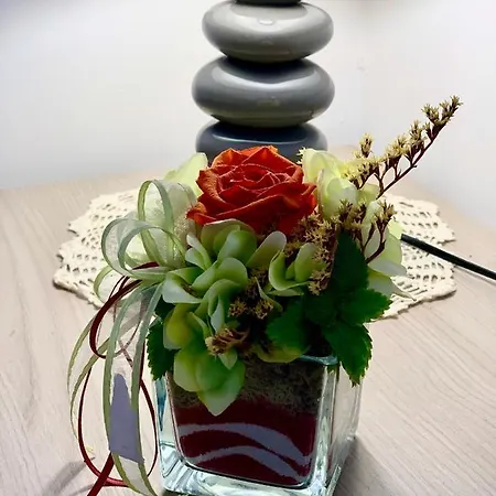 Palmira House - Delizioso Bilocale For Two