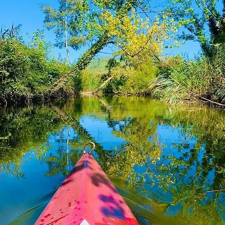 Palmira House - Delizioso Bilocale For Two Terni